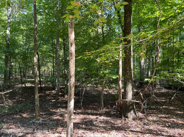 16 Fawn Ln, Dadeville, AL 36853