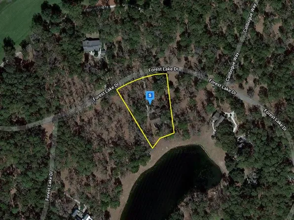 61 Forest Lake Dr, Daufuskie Island, SC 29915