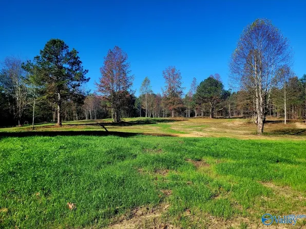 484 Naples Ln, Arab, AL 35016