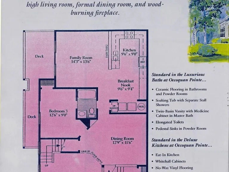 Floor Plan Downstairs