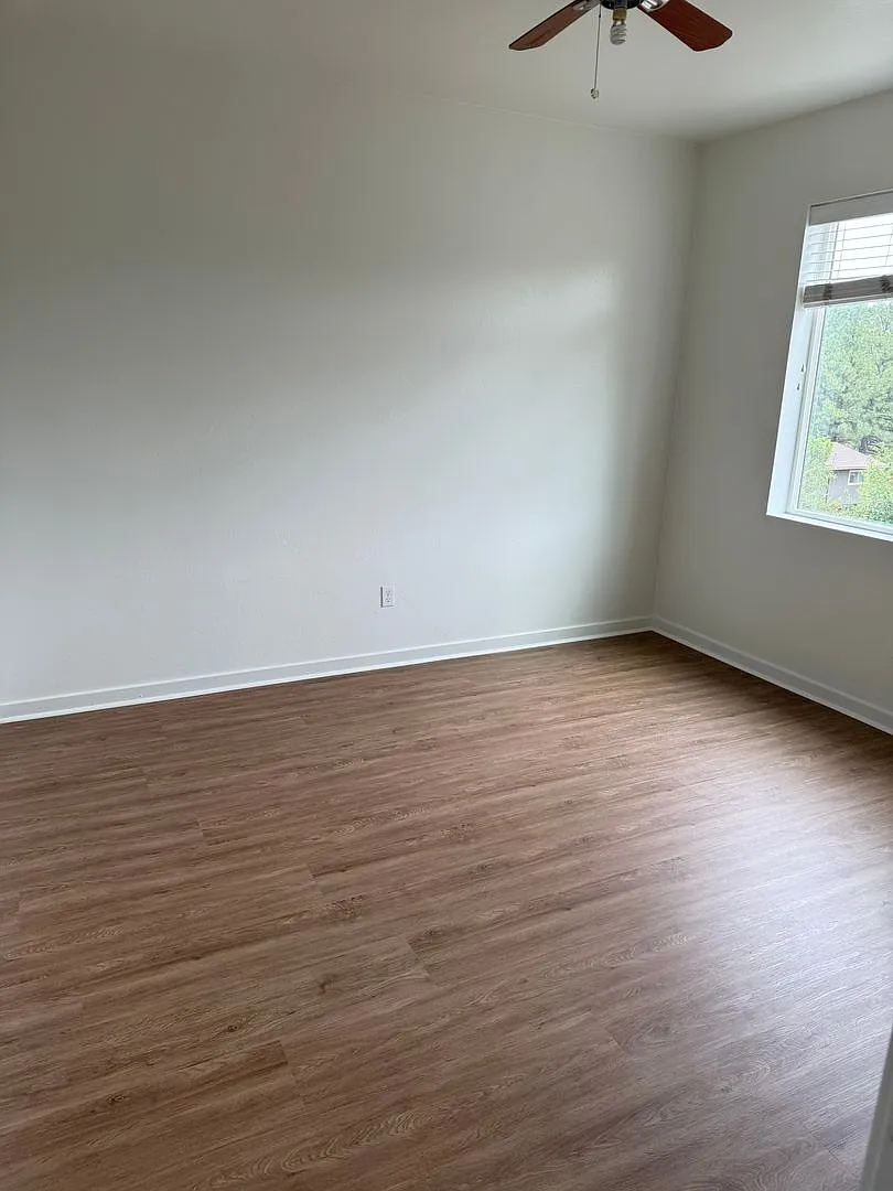 Forest Glen — Photo 3