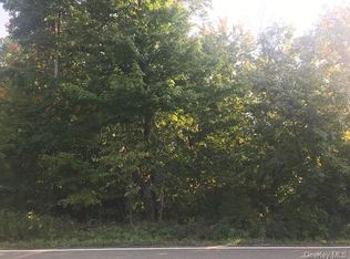 Mill St, Wallkill, NY 12589