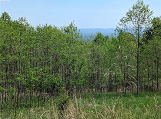 Meadow Crossing Ln #86, Mc Grady, NC 28649