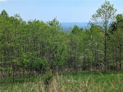 Meadow Crossing Ln #86, Mc Grady, NC, 28649