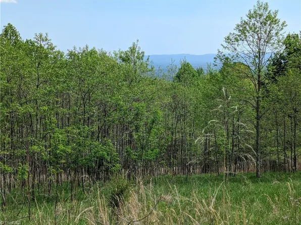 Meadow Crossing Ln #86, Mc Grady, NC 28649