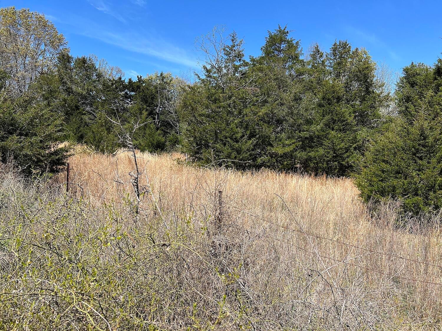 000 Golden Star Street, Ash Flat, AR 72513 Zillow