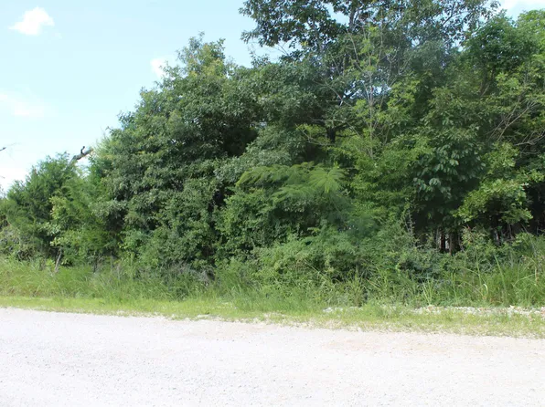 019-02950-000 Horseshoe Bend Rd, Lead Hill, AR 72644