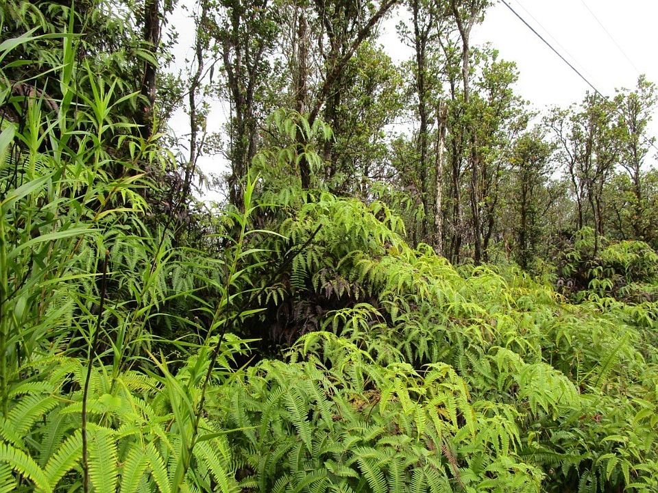 2nd image of Mahina St Lot 37