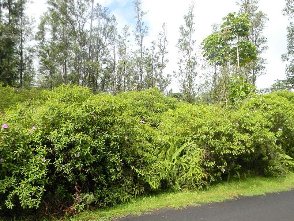2nd image of Lilikoi Dr Lot 38