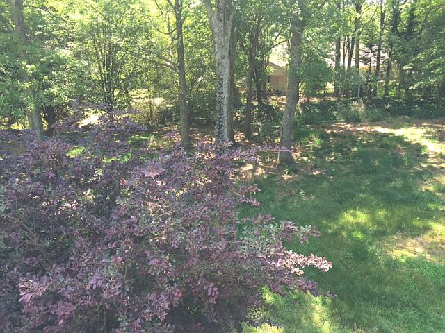 2nd image of 60 Lacey Oak Ln