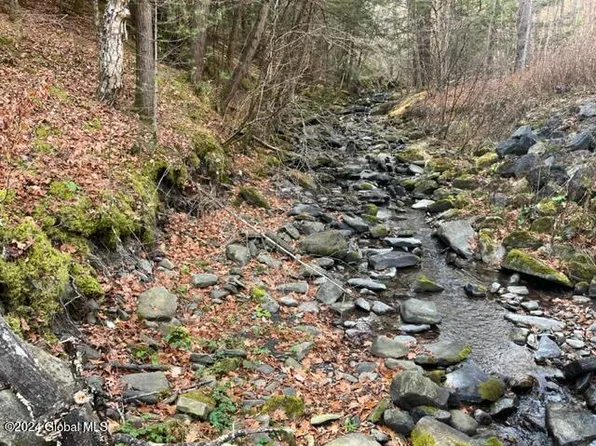 L23 North Road, North Blenheim, NY 12131