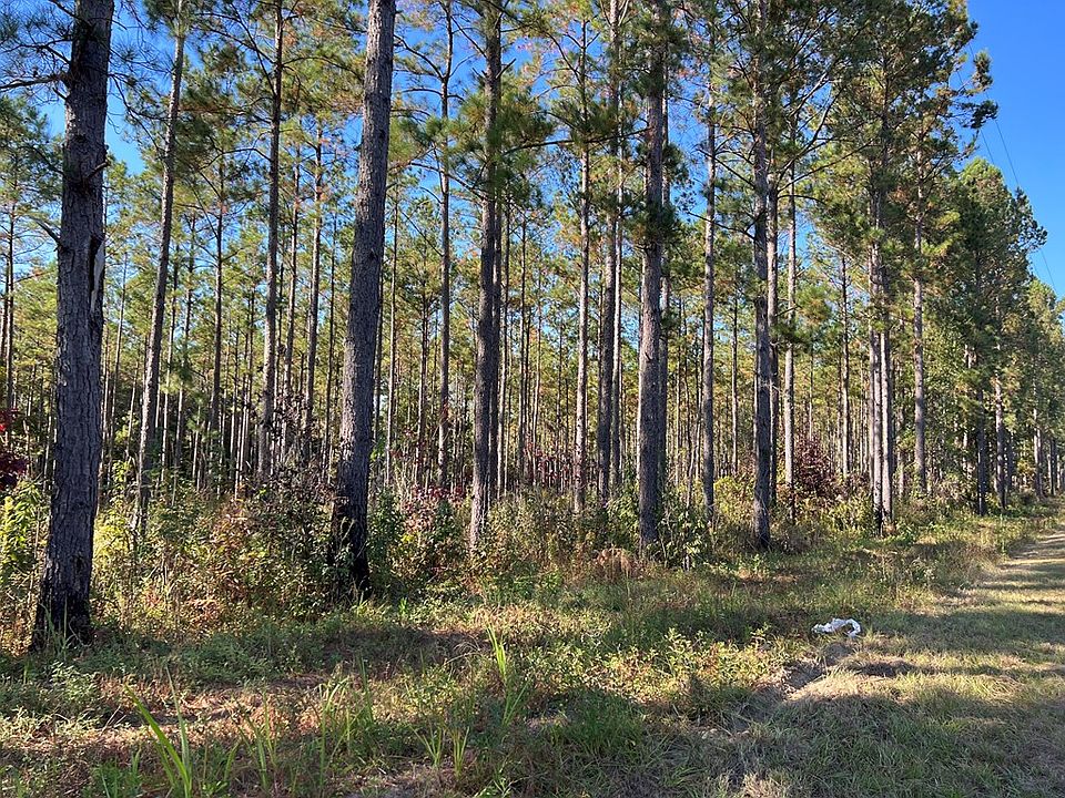 0 Carl Cloud Rd, Climax, GA 39834 Zillow