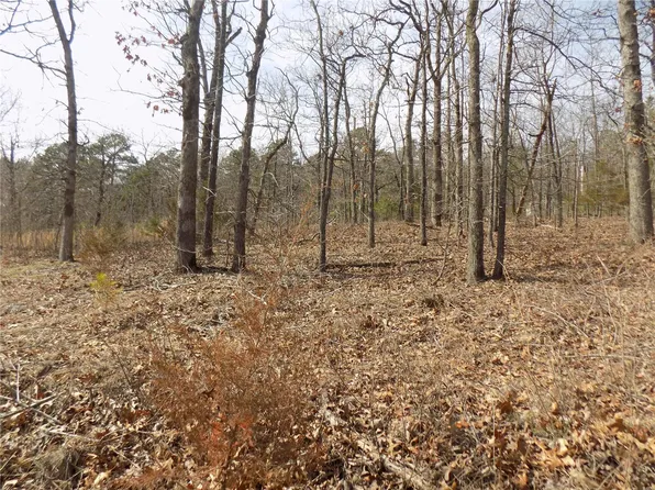 52 Nancy Dr, Ironton, MO 63650