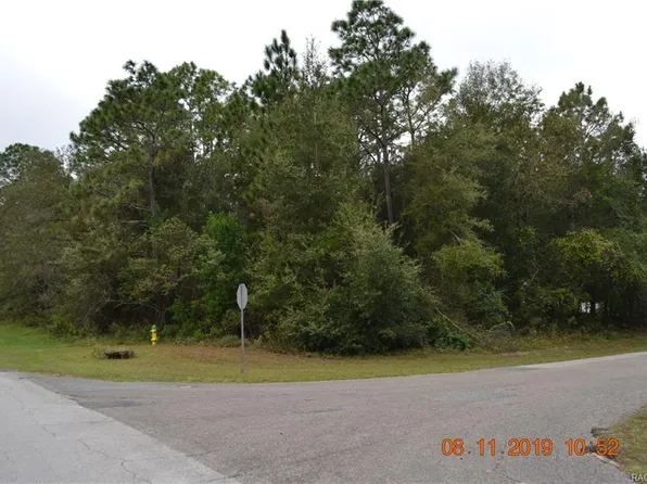 7936 N Golfview Dr, Citrus Springs, FL 34434