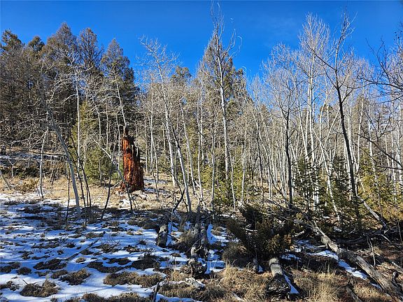 4th image of 1412 Redhill Rd