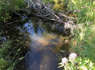 W Cherry Creek Rd, Mio, MI 48647