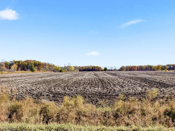 McIntyre Rd, North Street, MI 48049