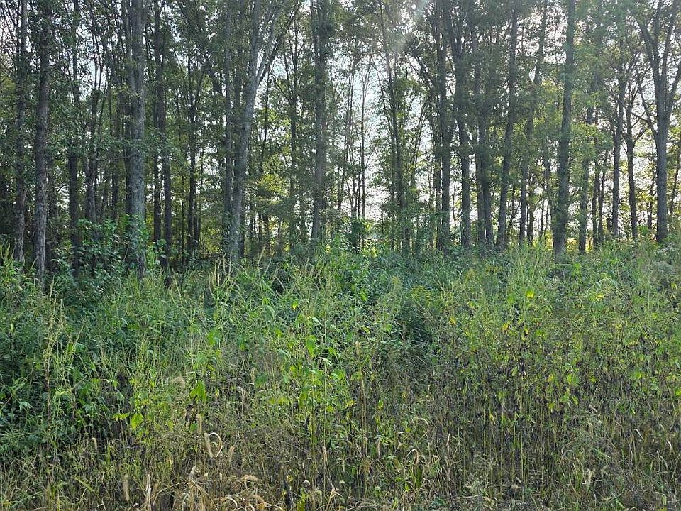 2nd image of 0 County Road 450 N