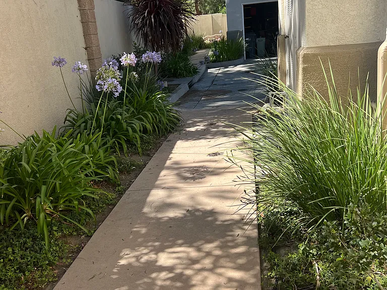 11804 San Tropez Pl — Photo 16