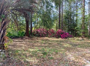 4784 Cattail St, Middleburg, FL 32068