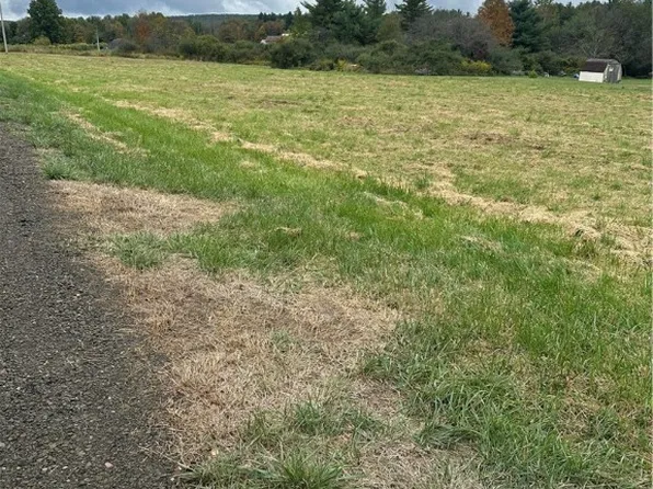 0 Hornbrook Rd, Ithaca, NY 14850