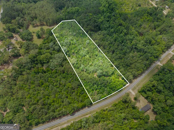 0 Mount Pleasant Rd, Claxton, GA 30417