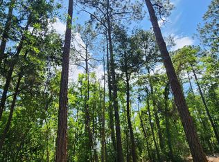 0 7th St LOT 6, Lillian, AL 36549