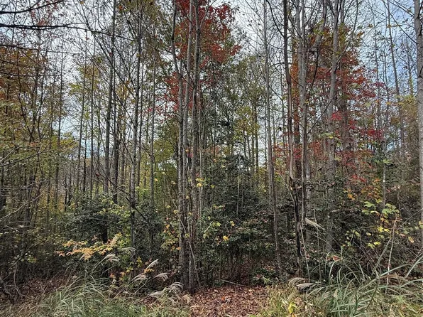 7 W Legacy Dr, Hendersonville, NC 28739