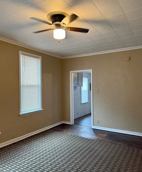 319 Dexter St — Photo 5