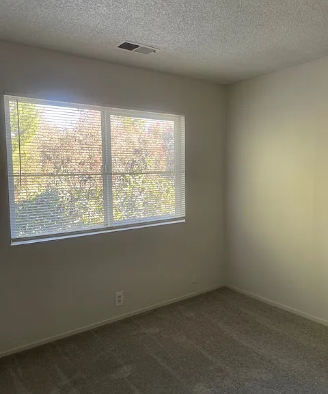 4305 Rilea Way #4 — Photo 21