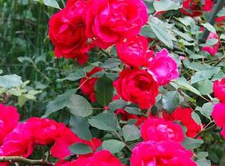 2513 Forest Glen Rd, Silver Spring, MD 20910