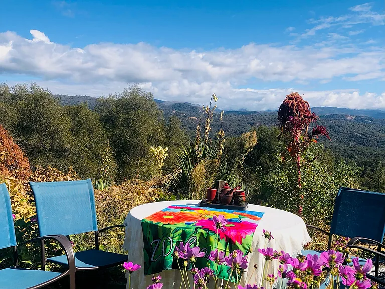44800 Ahwahnee Acres Rd — Photo 21