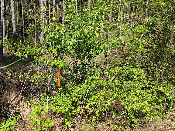 3rd image of Boyd Rd