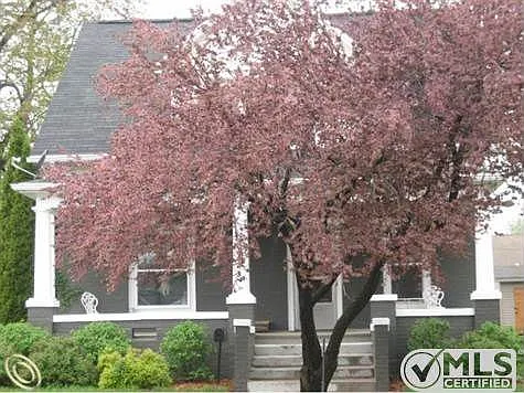 165 Bancroft St photo 1