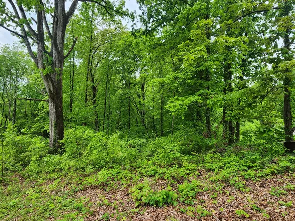 Dover Ave, Mount Carmel, TN 37645