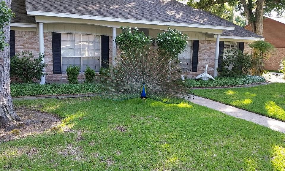 1st image of 7203 Bayou Forest Dr