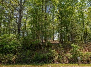 82 E Fallen Leaf Rd, Mineral Bluff, GA 30559