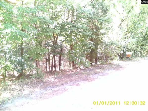 Emanuel Church Rd, West Columbia, SC 29170