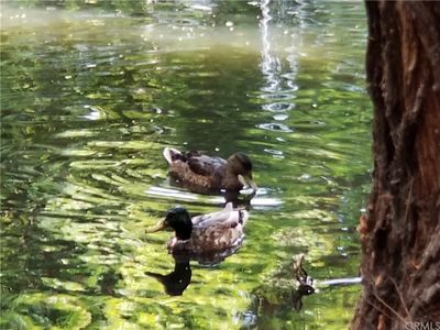 12750 Centralia St Unit 14, Lakewood, CA, 90715