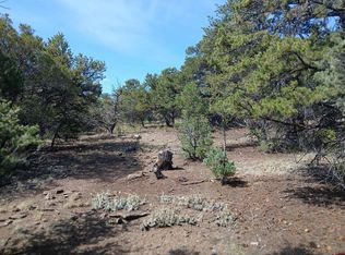 555 Aspen Road, South Fork, CO 81154