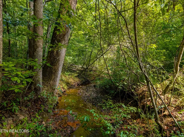 407 Chetola Trl #101, Townsend, TN 37882