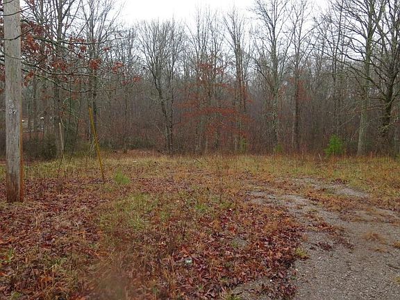 3rd image of Burk Dr