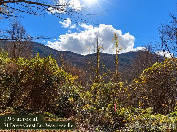 81 Dove Crest Ln #18 & 33, Waynesville, NC 28786