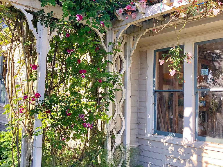 More gorgeous roses on Victorian structures near host's residence.