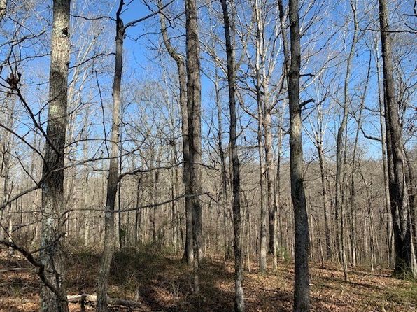 146 Quail Ridge Rd, Summertown, TN 38483