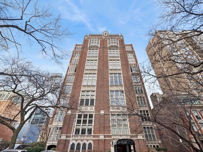 20 E Cedar St APT 8A, Chicago, IL, 60611