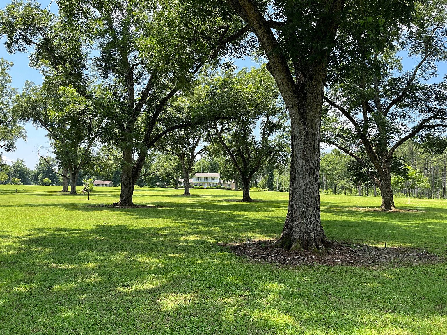 3476 Lower Shellman Rd, Shellman, GA 39886 Zillow