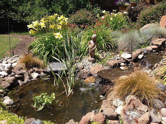 Back yard pond and stream