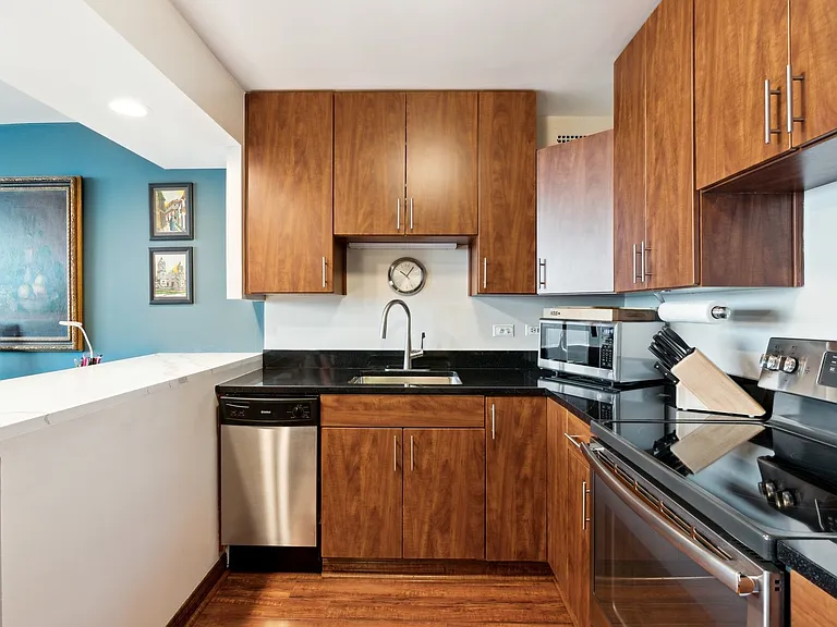 1255 N Sandburg Ter #2309 — Photo 10