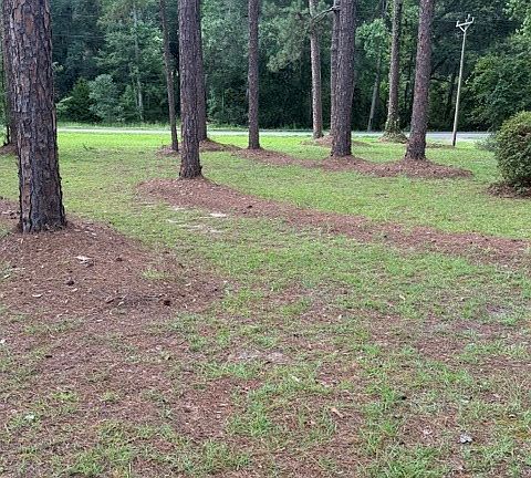 5th image of 384 Chula Brookfield Rd